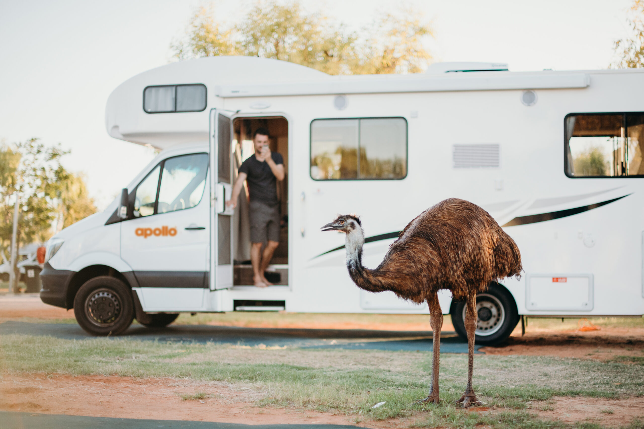 Apollo Euro Deluxe camper | Campers Down Under