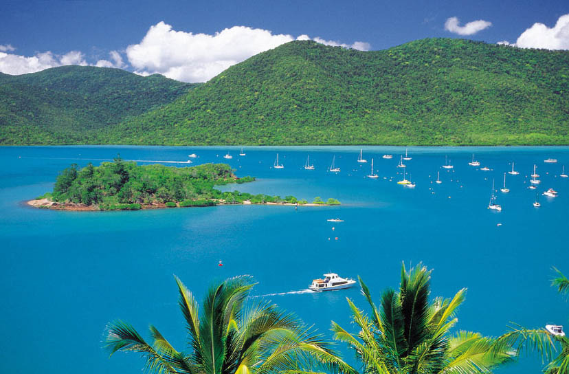 Shute Harbour Shute Harbour | Campers Down Under