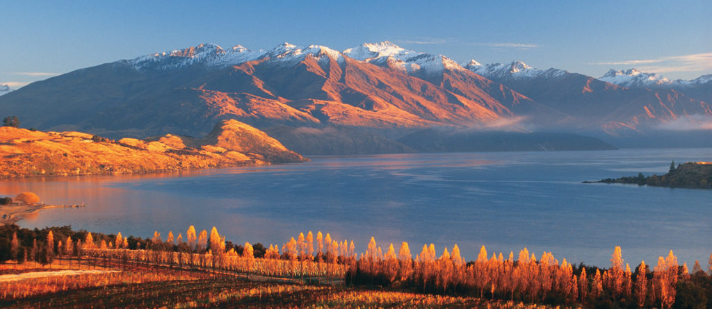 Rippon-Vineyard-Lake-Wanaka | Campers Down Under