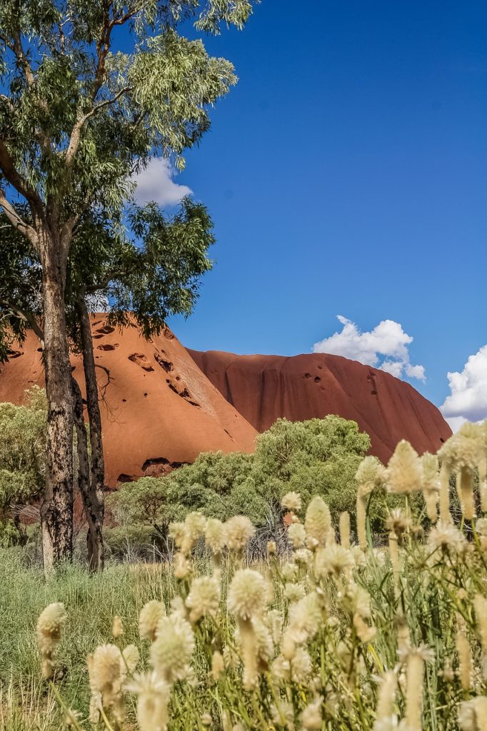 Ayers Rock