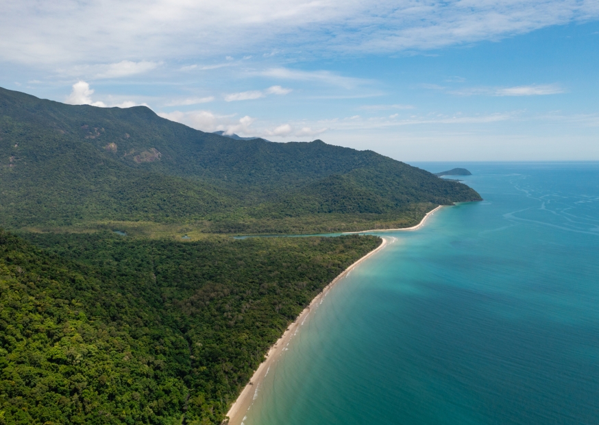 Daintree National Park | Campers Down Under