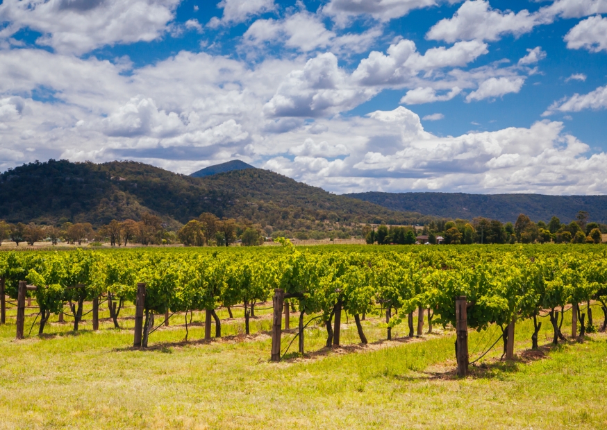 Hunter Valley | Campers Down Under