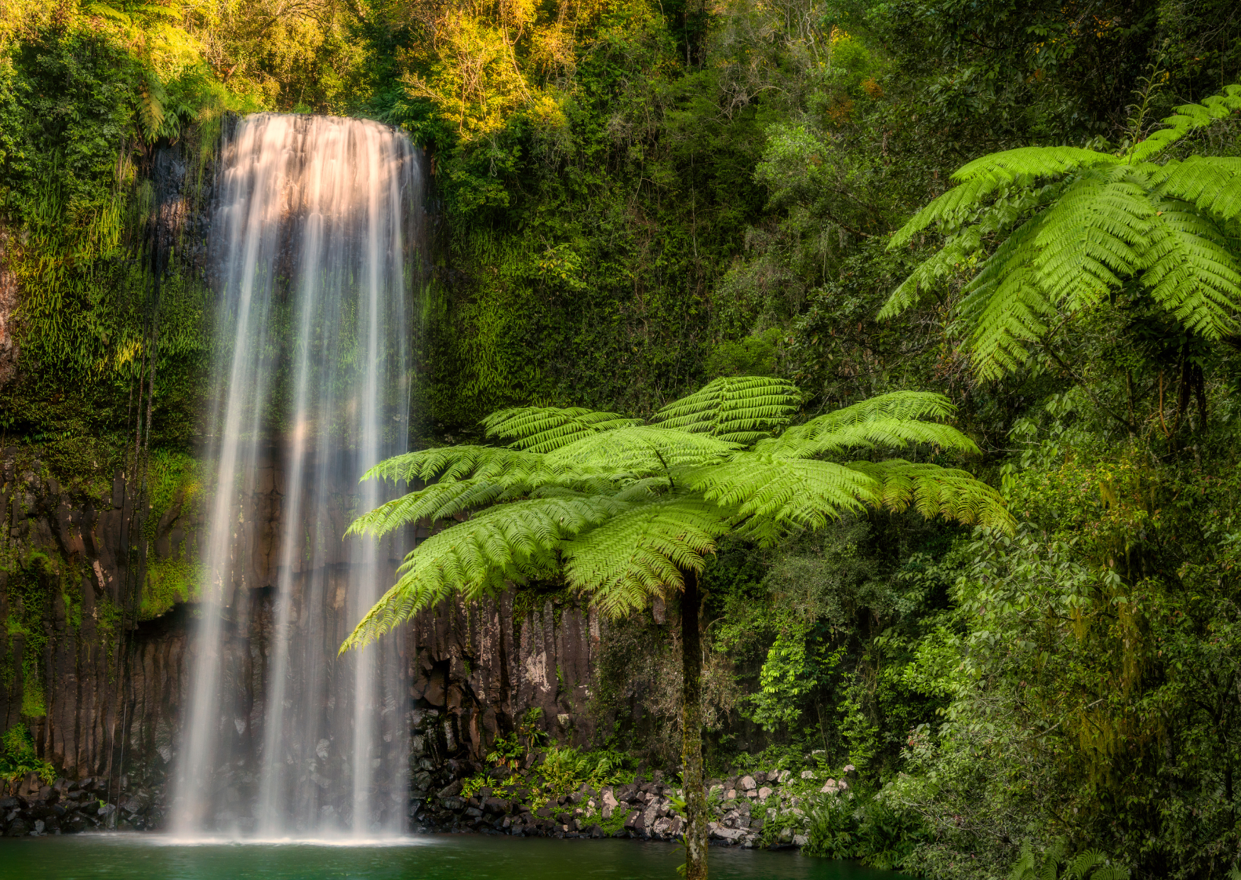 Millaa Millaa falls Atherton Tablelandas | Campers Down Under