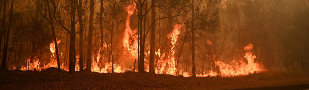 Australië bosbrand