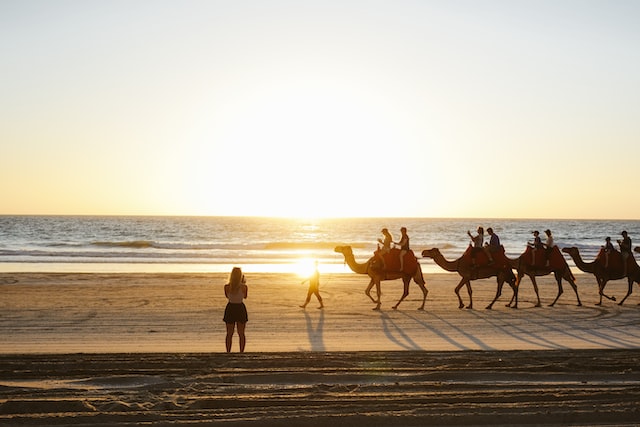 Kameel rijden, kamelenrit, strandrit kamelen, west australie campers down under