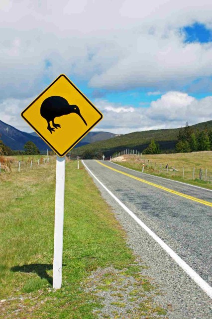 Kiwi bord Nieuw-Zeeland