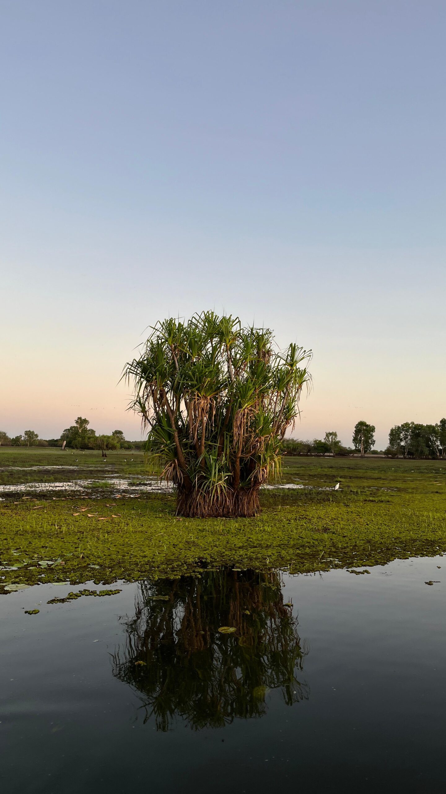 Yellow Water Billabong