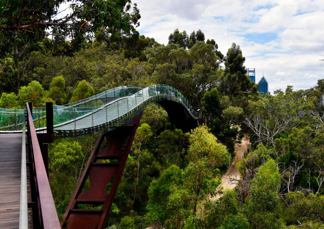 Kings Park Perth | Campers Down Under