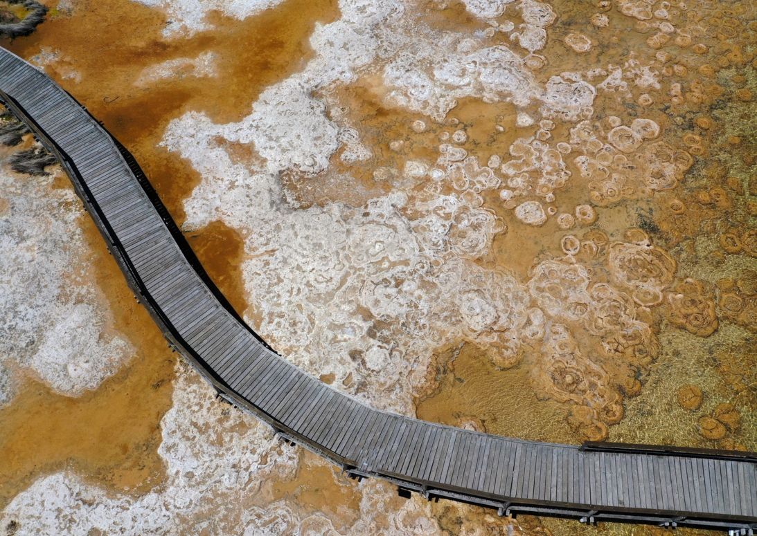 Lake Clifton thrombolites | Campers Down Under