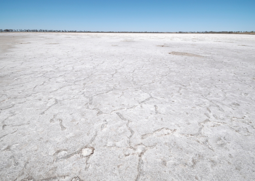 Lake Grace West Australië | Campers Down Under