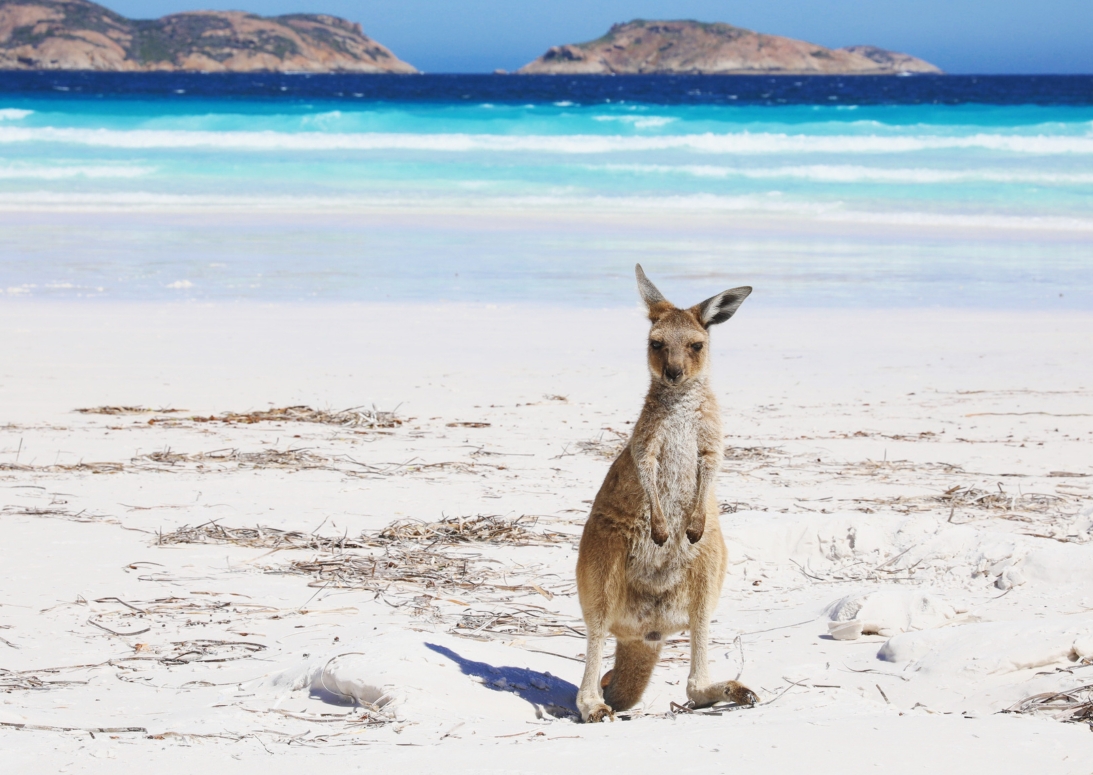 Lucky Bay Esperance | Campers Down Under