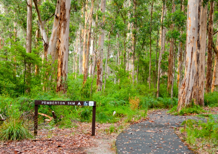 Pemberton | Campers Down Under