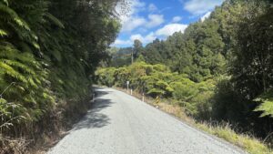 Forgotten World Highway
