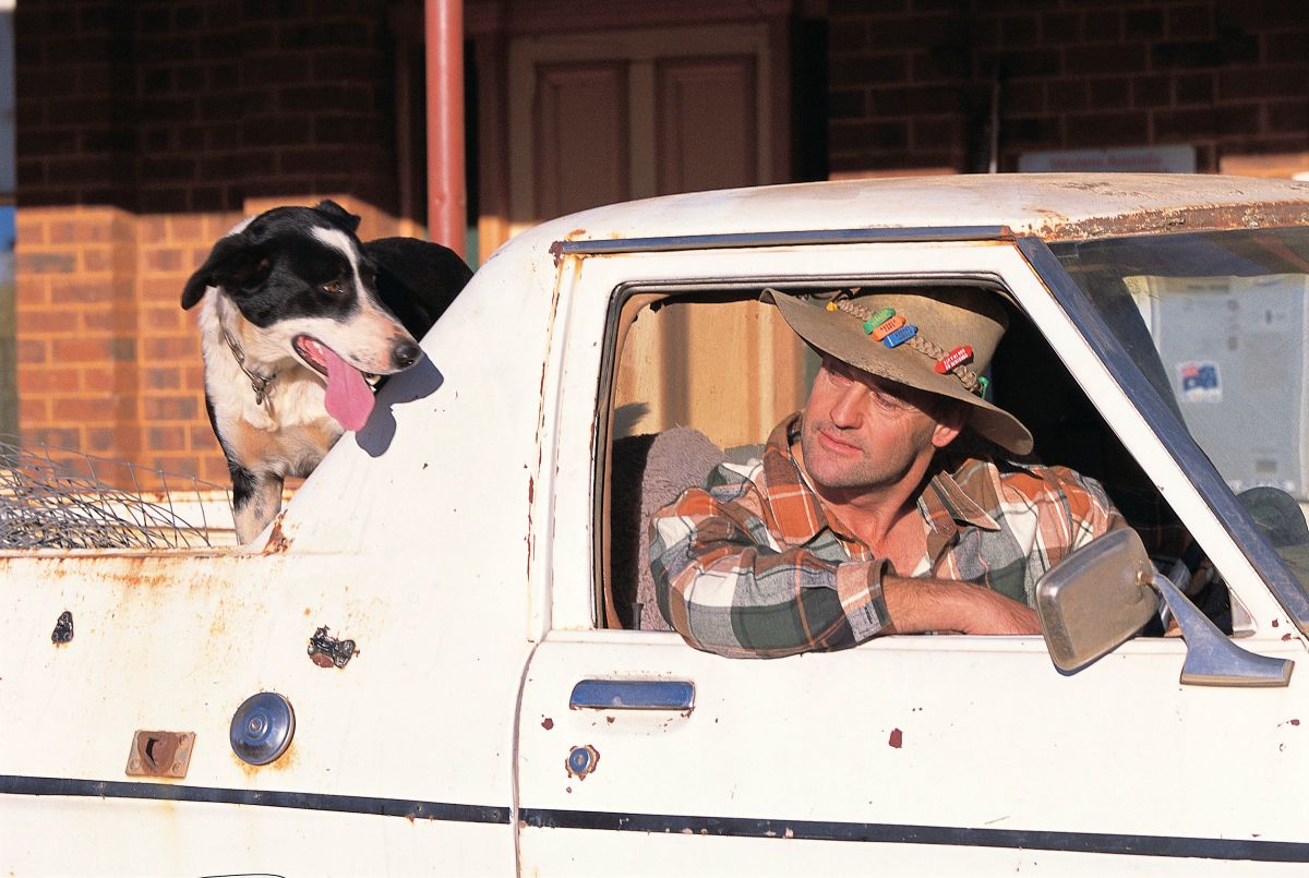 Australië ute met hond | Campers Down Under