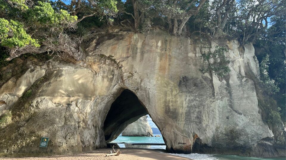 Cathedral Cove, Nieuw-Zeeland