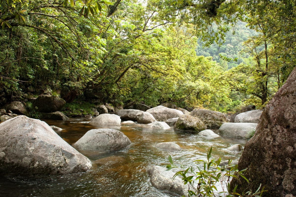 Mossman Gorge Daintree Mossman Gorge Daintree | Campers Down Under