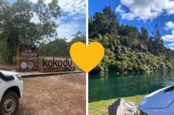 Australië en Nieuw-Zeeland combineren