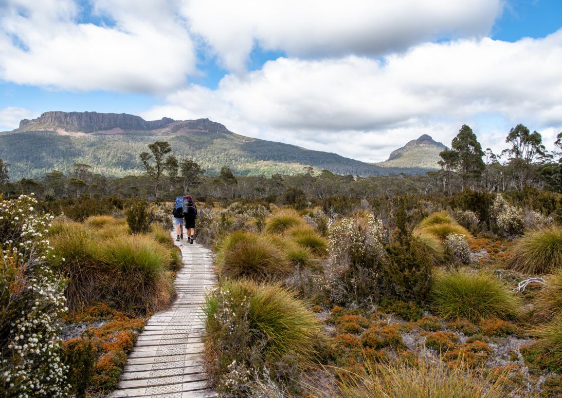 Tasmanie Overland Track Tasmanie Overland Track | Campers Down Under