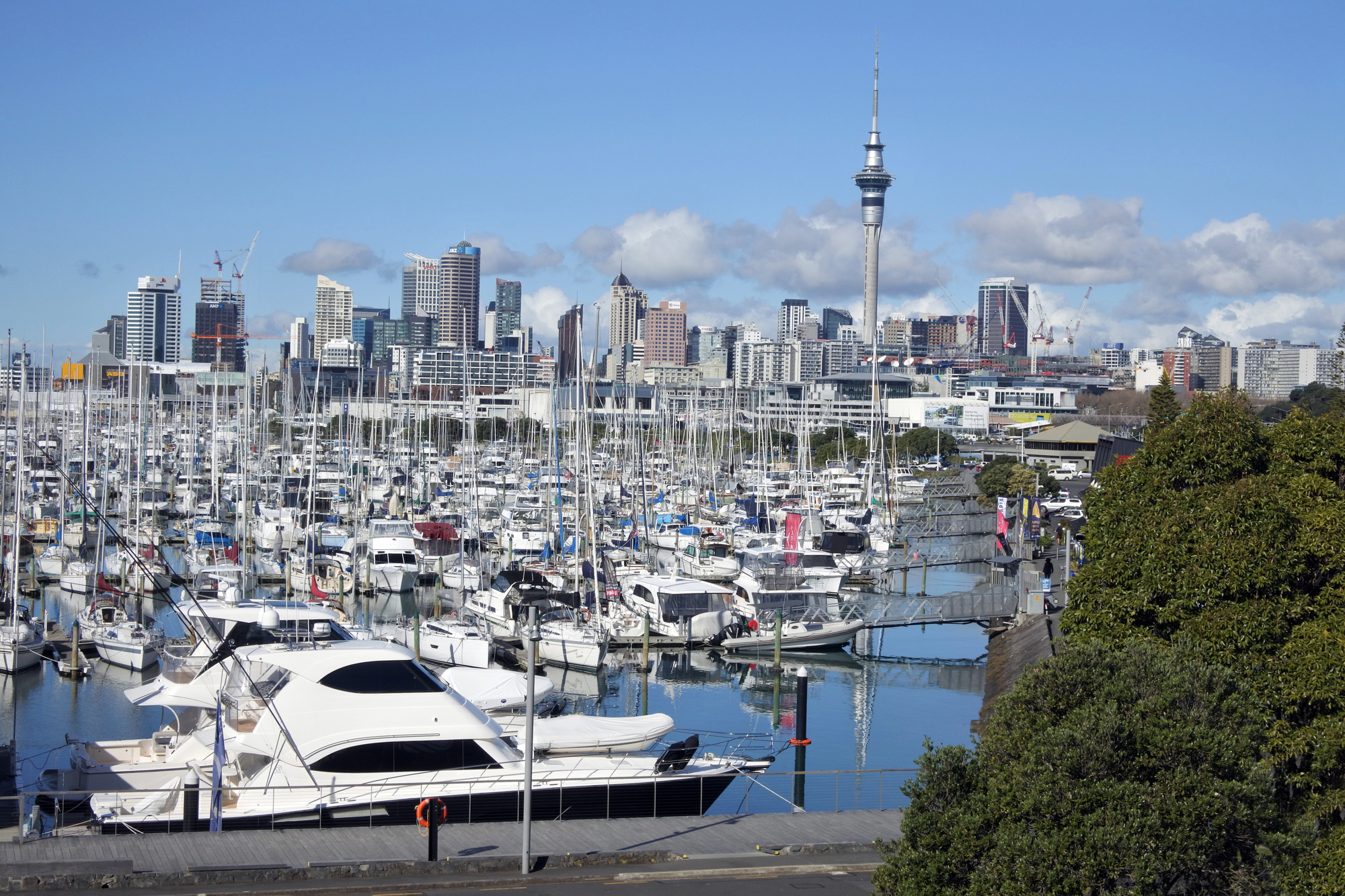 Auckland skytower haven Depositphotos_208010076_L Auckland skytower haven