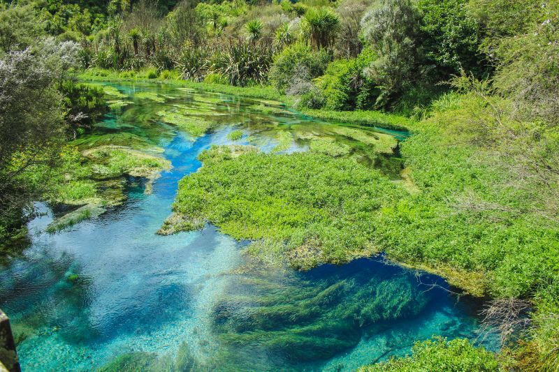 Putaruru Blue Spring