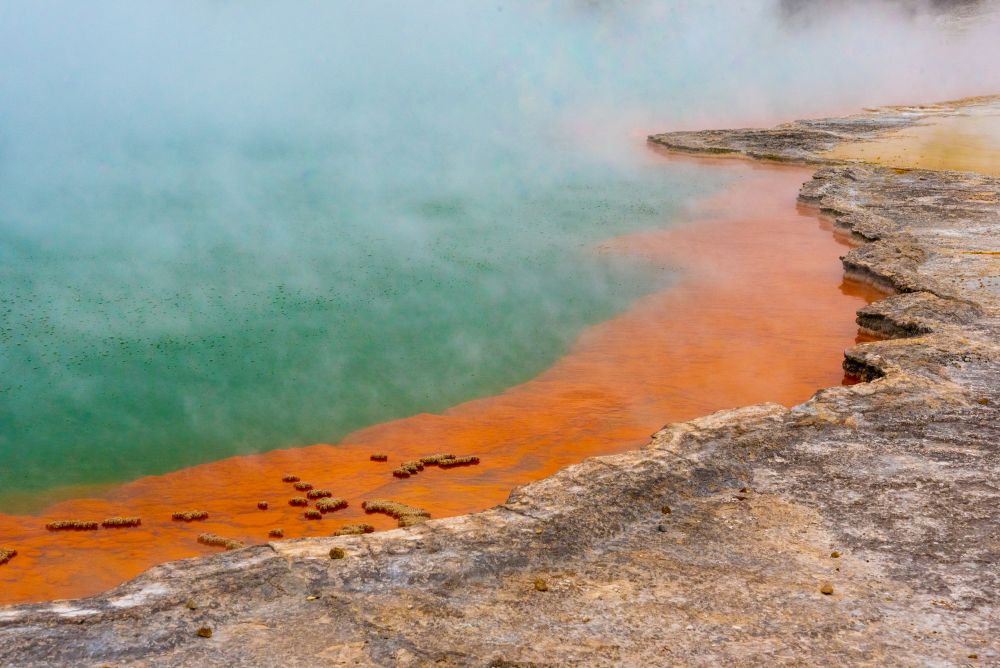Rotorua Waiotapu Wonderland